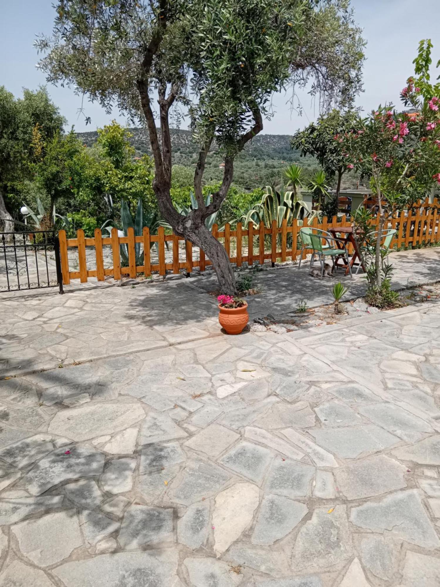 Giola Aparments And Studios 2 Astris Ngoại thất bức ảnh